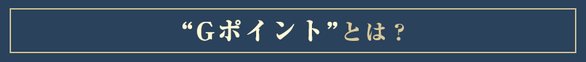 GݥȡɤȤϡ