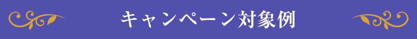 キャンペーン対象例