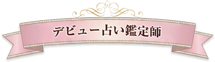 �ǥӥ塼�ꤤ�����