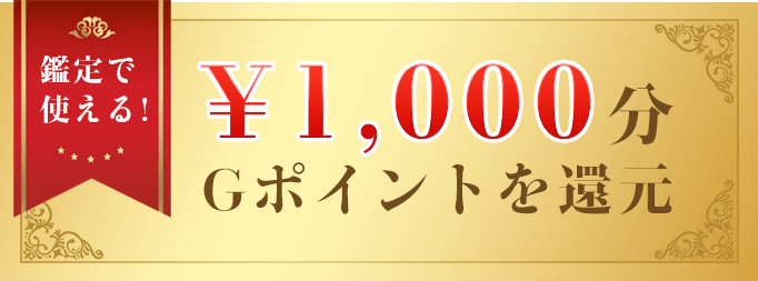 ǻȤ롪1000ʬGݥȤԸ