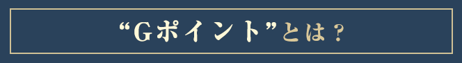 GݥȡɤȤϡ